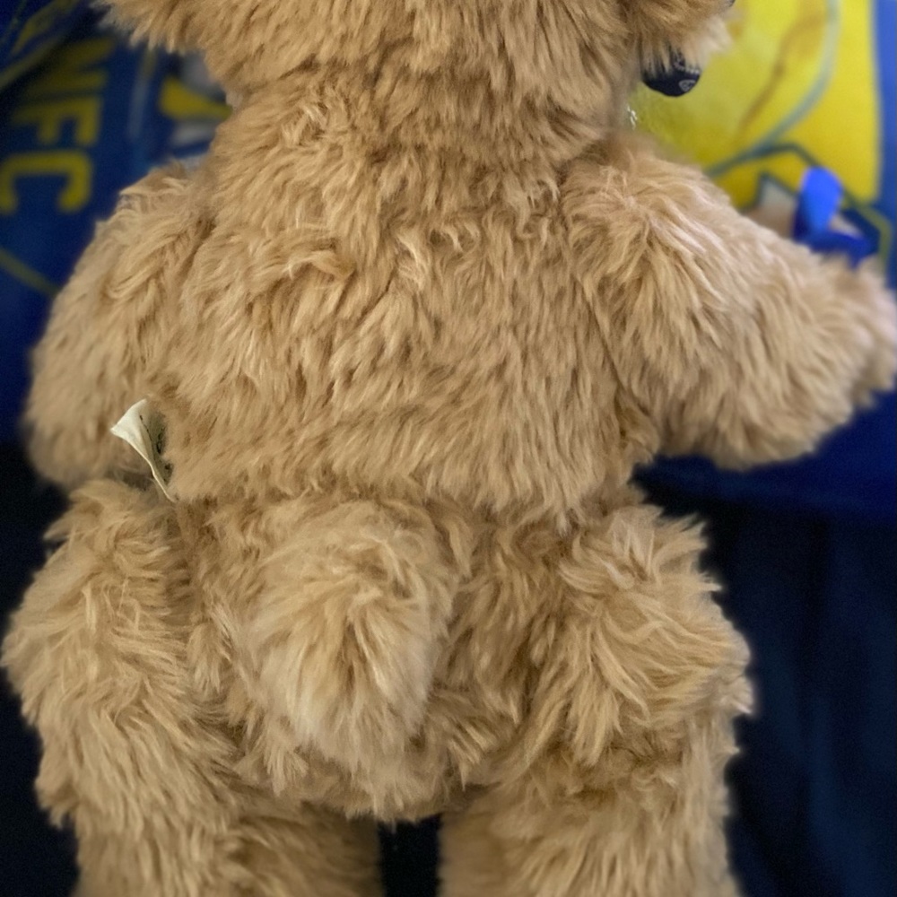 Like New! Build-A-Bear - Picture 5 of 5